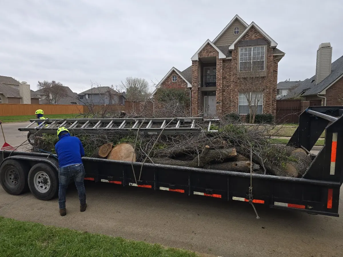 Expert Lot Clearing with proper safety equipment in Jensen